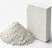 Ciment de réparation et de renouvellement pour revêtement de protection de tubes de chaudières et séparateurs cycloniques, Corundum, Mullite, Plastique réfractaire