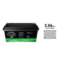 Baterai LiFePO4 25.6V 100Ah 2560Wh 6000-Cycle Deep Cycle Isi Ulang dengan BMS Terintegrasi IP67 Bluetooth untuk Solar RV Marine UPS Off-Grid