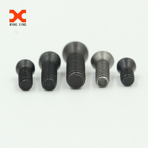 Tornillo corto de cabeza <span class=keywords><strong>Torx</strong></span> de grado 12.9 / Tornillo de cuchilla con vástago CNC / <span class=keywords><strong>Tornillos</strong></span> de cuchilla <span class=keywords><strong>Torx</strong></span> - Product Image 4