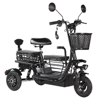 Tricycle électrique pliable portable à 3 places, double propulsion, panier de rangement, excellente capacité de montée, pour parents et enfants, transport de personnes âgées, charge de 200 kg
