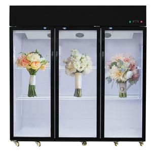 Vitrine Réfrigérée pour Fleurs, Congélateur Grande Capacité, Réfrigérateur Commercial Sans Givre, Équipement de Réfrigération - Product Image 4