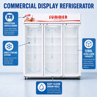 Vitrine Réfrigérée Professionnelle pour Boissons, Porte Vitrée, Armoire Verticale pour Supermarché, Bar, Hôtel