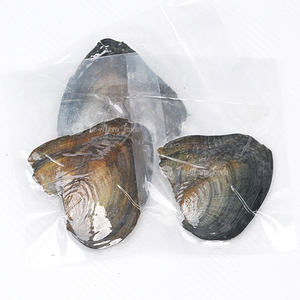 Bán buôn AAA độ bóng cao tự nhiên nước ngọt nuôi cấy ngọc trai Oyster mù hộp lỏng ngọc trai handmade DIY cuốn tiểu thuyết đồ trang sức làm - Product Image 3