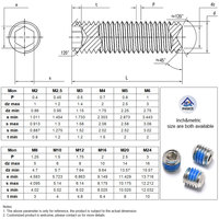 OEM Custom Stainless Steel 304 Nylon Patch Pre Applied Vibration Proof M3-M12 Hex Socket Set Screw for Gear and Pulley Fixing