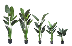 Venta caliente 80-220cm Plantas artificiales de viaje Faux Tropical Potted <span class=keywords><strong>Banana</strong></span> <span class=keywords><strong>Tree</strong></span> para Decoración - Product Image 2