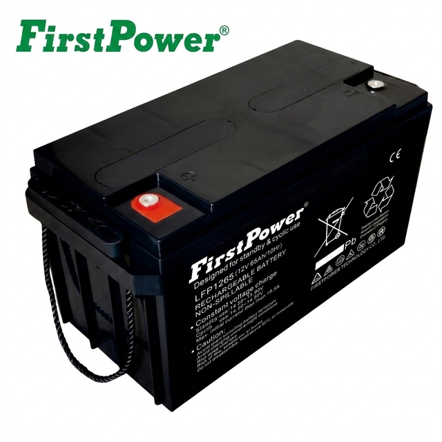 LFP1265 12V 65Ah Rechargeable SLA Storage Battery Non-Spillable Valve Regulated For Emergency Lighting Security Backup Power