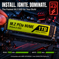 Nandstor Factory OEM SSD M.2 2242 2280 256GB 512GB 1TB 2TB Disque SSD interne haute performance NVMe PCIe 3.0 pour Mini PC