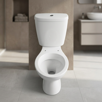 Ensemble WC monobloc en céramique haut de gamme à chasse directe pour projets commerciaux en Afrique