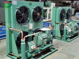 OEM ODM <span class=keywords><strong>Precio</strong></span> competitivo Refrigeración Congelador 380V Unidad de condensación para almacenamiento en cámara frigorífica - Product Image 5