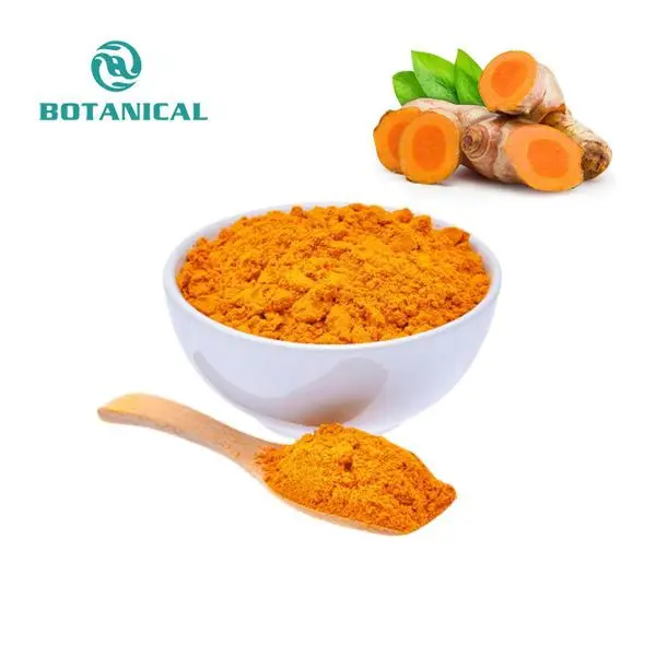 B.C.I Herbal Extract Curcuma Longa Root Turmeric Curcuma 95% Organic Pure Turmeric Curcumin Powder