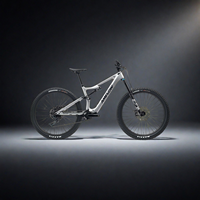 Vélo de montagne électrique Amflow PL Carbon Medium 800Wh Enduro, vélo électrique tout-terrain