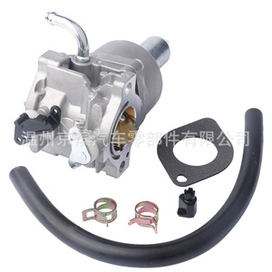 Carburateur mécanique 796109 591731 594593 pour moteur de tondeuse à gazon Briggs Stratton 14,5 ch 21 ch - Product Image 1