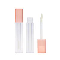 Mode translucidité givré personnalisé 3ml carré brillant à lèvres emballage vide Liptint Tube