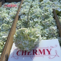 DC093 Fleur artificielle grande hortensia en soie dégradé vert, très demandée pour la décoration de table de mariage, commande en gros