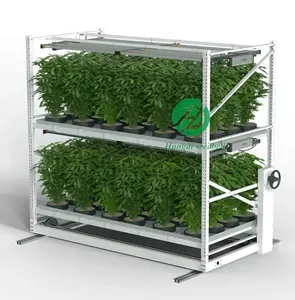 A planta fornece equipamento agrícola móvel hidropônico 4x8, bandeja de cultivo de sementes de vazante e fluxo para plantio vertical