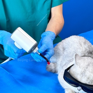 Équipement de thérapie laser de classe 4 pour soulager la douleur chez le chien, le cheval et le chat, utilisation médicale, 810 nm 980 nm pour les blessures aiguës - Product Image 4