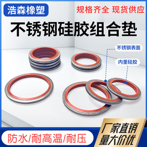 ปะเก็นโลหะผสมไครูอิเต้ สแตนเลส 304 ทนความร้อนสูง ชิ้นส่วนซีลเชิงกล - Product Image 5
