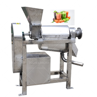 Diverse Fruit En Groente Juicer Industriële Spiraal Juicer Druif Mango Citroen Juicer