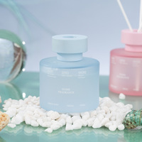Ensemble d'aromathérapie, diffuseur d'huiles essentielles pour la maison, bouteille en verre de 100 ml, diffuseur de parfum de luxe, rafraîchisseur d'air pour la maison, la voiture, le bureau, l'hôtel