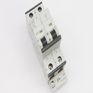 5sy6250-6 Sekring Pemutus Sirkuit B50 50A 6kA <span class=keywords><strong>2</strong></span>-pin - Product Image 1