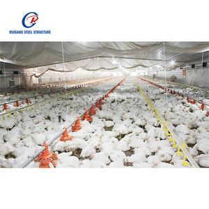 S-hızlı inşa prefabrik çelik çerçeve tavuk evi çiftlik tavuk çiftliği kulubesi tavuk evi için tavuk - Product Image 4