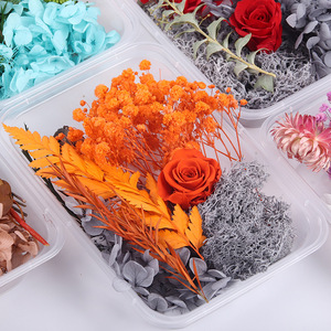 Kit de fleurs séchées Yuluhui, hortensia et rose, emballage en boîte plastique pour artisanat, cadeau et décoration - Product Image 3