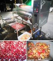 Industriële Automatische Professionele Granaatappel Aril Separator Schroef Pers Juicer Machine Granaatappelsap Productielijn