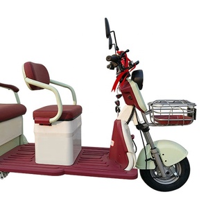 Triciclo Elettrico da Fabbrica 48V 60V a Bassa Velocità, Veicolo Elettrico a 3 Ruote 500W 1200W, Veicoli Ricreativi in Vendita - Product Image 2