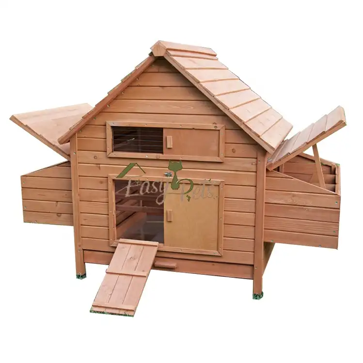 Casa de madera de diseño de cajas de Polla huevo capas LaddeOutdoor correr gran comercial de pollo aves de corral granja Coop Animal diseño