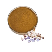 Extrait de gingembre noir en poudre de qualité alimentaire, capsules et comprimés OEM pour la santé masculine