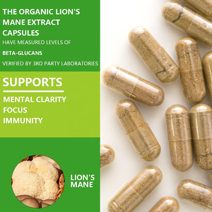 תוסף תזונה איכותי, כמוסות לחיזוק מערכת החיסון ותוסף נוירו-טרופי לחיזוק המוח - Product Image 3