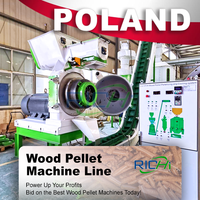Ligne de fabrication de granulés de bois RICHI ATEX Polant, usine de granulés de biomasse multifonctionnelle de grande capacité 2-3t/h pour les déchets de bois polonais