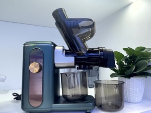 Extracteur de jus lent électrique multifonctionnel pour fruits et légumes frais Presse à froid professionnelle ménagère lente