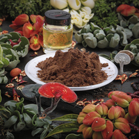 Extrait de champignon Reishi en poudre, extraction par solvant, polysaccharide, bêta-glucane, triterpène, emballage en fût