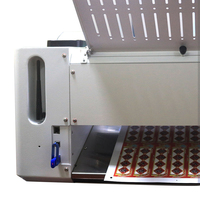 Máquina de Corte Digital de Sobremesa Pequeña con Control PLC, Motor Delta, Cortadora Automática de Etiquetas en Hoja, CA 220V, 1 Año de Garantía