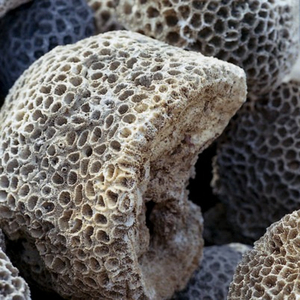 Vente en gros de corail naturel brut, spécimen fossile, idéal pour l'enseignement, la fabrication de bijoux, la décoration rustique de la maison, cadeau d'anniversaire fait main - Product Image 2