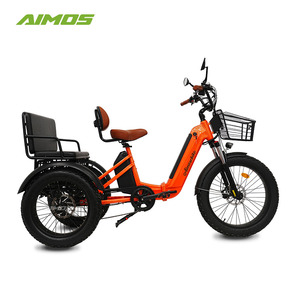 48V 20Ah E Trike 1000W Điện Ba Bánh Chất Béo Lốp Có Thể Gập Lại E Xe Đạp - Product Image 1