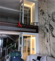 Ascenseur domestique XYZLIFT certifié CE EN81 AS/NZS 1735 avec RAL personnalisé et service d'installation mondial