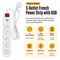 5-fach Steckdosenleiste mit 2 USB-Anschlüssen Standard-Erdung für Industrie & Krankenhaus 16A 250V