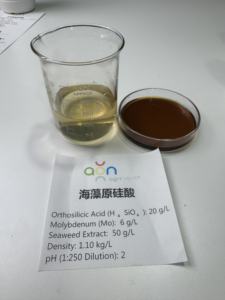 <span class=keywords><strong>ปุ๋ย</strong></span>อินทรีย์สกัดจากสาหร่ายทะเลชนิดซิลิคอน ช่วยกระตุ้นการเจริญเติบโตของพืช  ผสมกรดออร์โธซิลิกิก 20 กรัม/ลิตร - Product Image 6