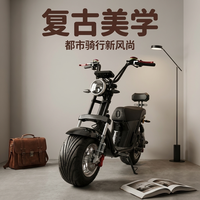 Nouvelle trottinette électrique 2000W 60V de style brésilien, deux roues, pour adultes, familiale, pour trajets quotidiens, pneus larges, vitesse 60km/h, Chine