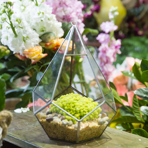 Handgemachte kreative Silber Teardrop Form geometrische Glas <span class=keywords><strong>Terrarium</strong></span> für saftige Moos Farn Pflanzen Halter Tabletop Display - Product Image 2