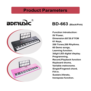BD MUSIC 音乐键盘 61 键数码钢琴合成器电子琴中国东方音乐儿童用 - Product Image 3