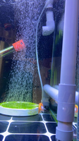 Fruits de mer Aquarium Fish Tank PVC évent tuyau bouchon en plastique trop-plein raccord de tuyau accessoires piscine Pvc bouchon