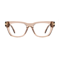 Monture de lunettes optiques élégante et décorative en acétate, tendance et populaire, avec verres PC unis, pour femmes et hommes adultes, vente en gros