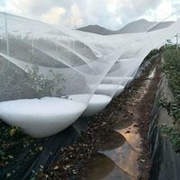 Zware hagelbeschermingsnetten beschermen fruit en planten tegen hagelschade.