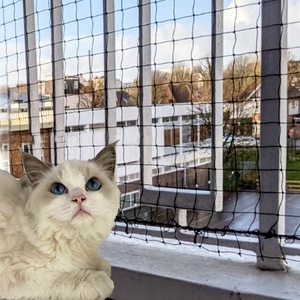 Edelstahl Nylon Pet Pen Kunststoff Mesh Anti-<span class=keywords><strong>Cat</strong></span> Bite PE Stahldraht Neues Material Katzen fenster Balkon Sicherheits netz für Safe - Product Image 6
