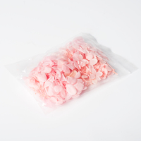 Kit de fabrication de bougies en cire de soja parfumées personnalisées faites à la main de luxe - Kit de bougies d'aromathérapie professionnel pour Noël/Pâques