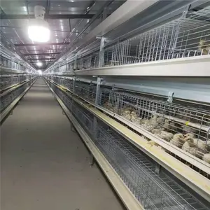 פופולרי מפעל סיטונאי גדול לול מתכת עוף כלוב