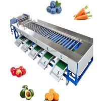 Fruit- en groentesorteermachine, appel- en tomatensorteermachine/sinaasappelsorteermachine/fruit sorteer- en verwerkingsmachine
